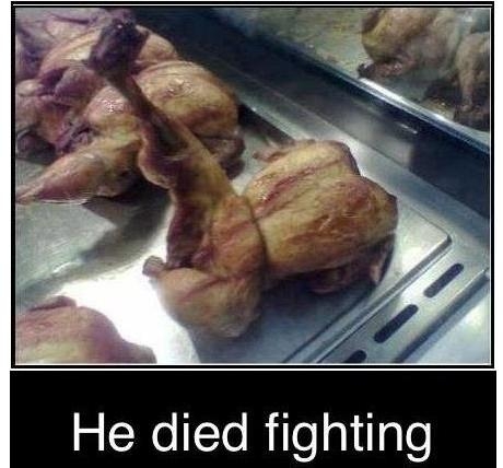 Youtube/funny vids/funny pics page - Page 26 Died-fighting