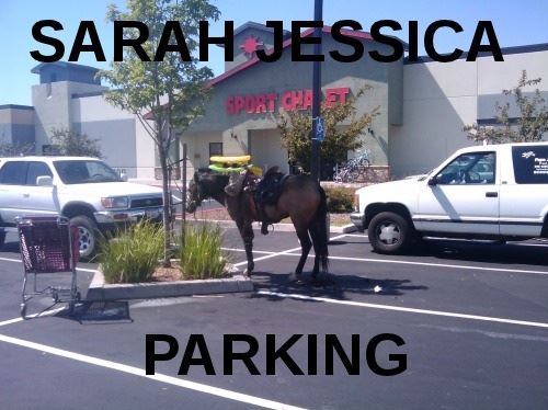 sarah-jessica-parking.jpeg